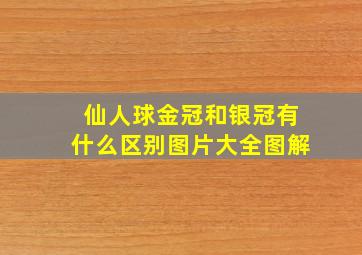 仙人球金冠和银冠有什么区别图片大全图解