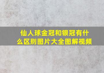 仙人球金冠和银冠有什么区别图片大全图解视频