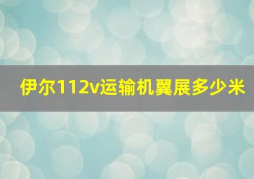 伊尔112v运输机翼展多少米