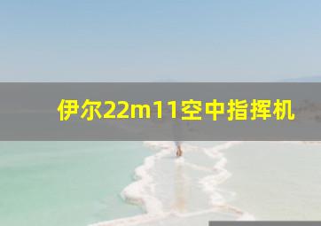 伊尔22m11空中指挥机