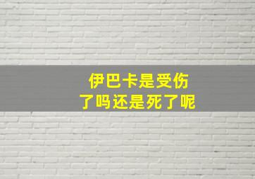 伊巴卡是受伤了吗还是死了呢