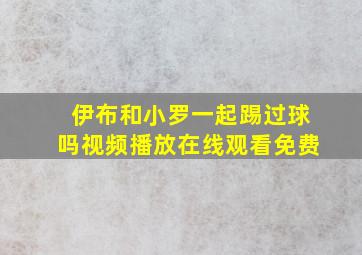 伊布和小罗一起踢过球吗视频播放在线观看免费