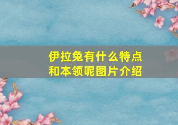 伊拉兔有什么特点和本领呢图片介绍