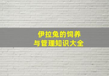 伊拉兔的饲养与管理知识大全