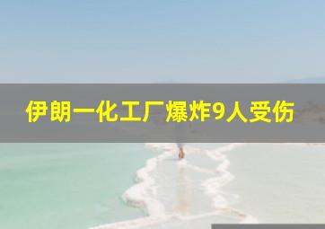 伊朗一化工厂爆炸9人受伤