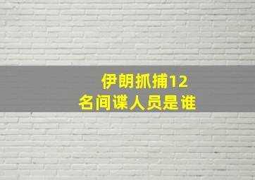 伊朗抓捕12名间谍人员是谁