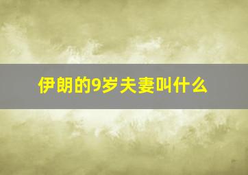 伊朗的9岁夫妻叫什么