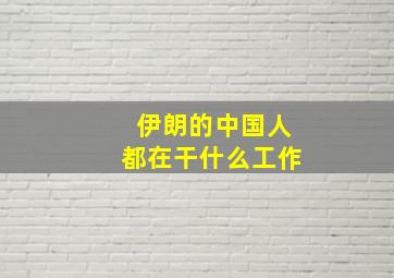 伊朗的中国人都在干什么工作