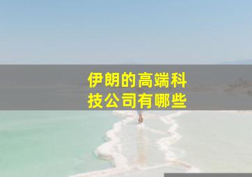 伊朗的高端科技公司有哪些