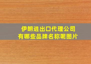 伊朗进出口代理公司有哪些品牌名称呢图片