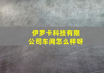 伊罗卡科技有限公司车间怎么样呀