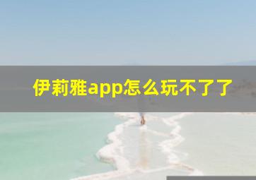 伊莉雅app怎么玩不了了