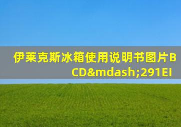 伊莱克斯冰箱使用说明书图片BCD—291EI