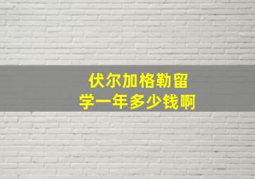 伏尔加格勒留学一年多少钱啊