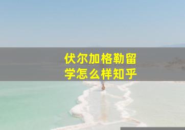 伏尔加格勒留学怎么样知乎