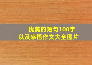 优美的短句100字以及感悟作文大全图片