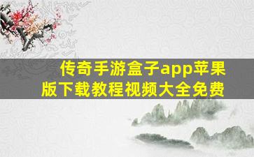 传奇手游盒子app苹果版下载教程视频大全免费