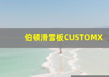 伯顿滑雪板CUSTOMX