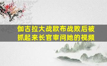 伽古拉大战欧布战败后被抓起来长官审问她的视频