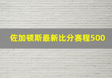 佐加顿斯最新比分赛程500