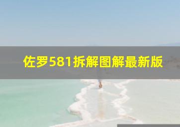 佐罗581拆解图解最新版