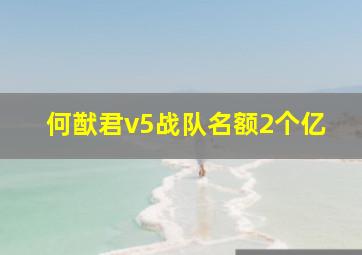 何猷君v5战队名额2个亿