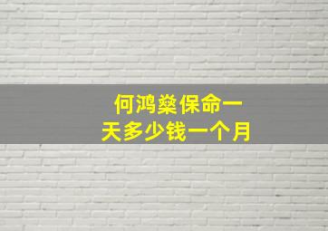 何鸿燊保命一天多少钱一个月