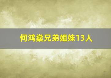 何鸿燊兄弟姐妹13人