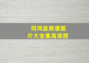 何鸿燊族谱图片大全集高清图