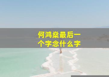 何鸿燊最后一个字念什么字