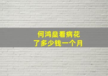 何鸿燊看病花了多少钱一个月