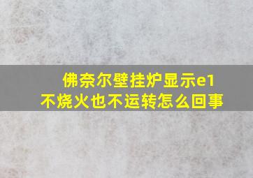 佛奈尔壁挂炉显示e1不烧火也不运转怎么回事