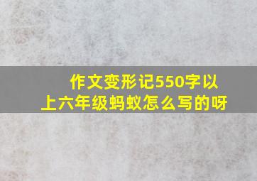 作文变形记550字以上六年级蚂蚁怎么写的呀