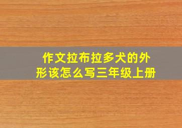 作文拉布拉多犬的外形该怎么写三年级上册