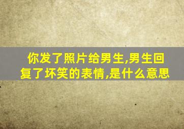 你发了照片给男生,男生回复了坏笑的表情,是什么意思