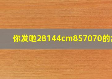 你发啦28144cm857070的含义