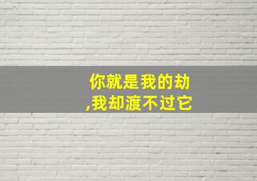 你就是我的劫,我却渡不过它