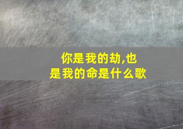 你是我的劫,也是我的命是什么歌