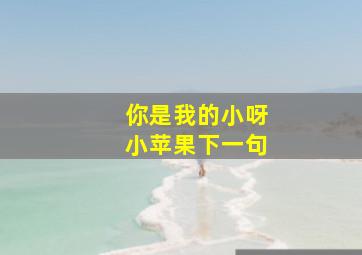 你是我的小呀小苹果下一句