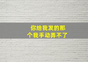 你给我发的那个我手动弄不了