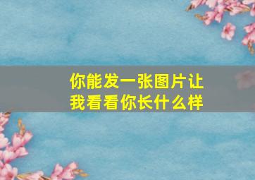 你能发一张图片让我看看你长什么样