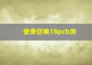 使命召唤18pcb测