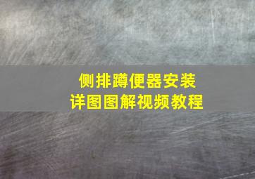 侧排蹲便器安装详图图解视频教程