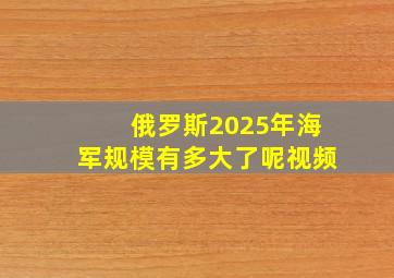 俄罗斯2025年海军规模有多大了呢视频