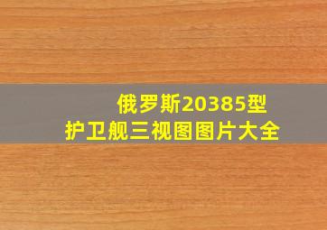 俄罗斯20385型护卫舰三视图图片大全