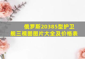 俄罗斯20385型护卫舰三视图图片大全及价格表