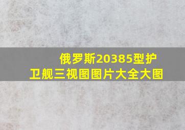 俄罗斯20385型护卫舰三视图图片大全大图