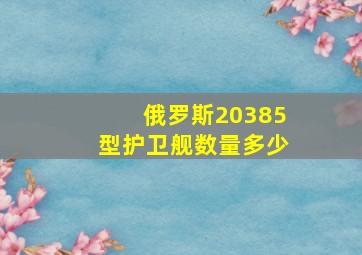 俄罗斯20385型护卫舰数量多少