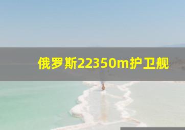 俄罗斯22350m护卫舰