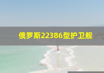 俄罗斯22386型护卫舰